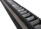 Conveyor belt anti-tear layer